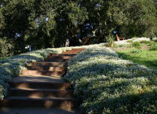 Hurtdao's Landscaping takes care of your outdoor stairway needs - and keeps you ADA Compliant!