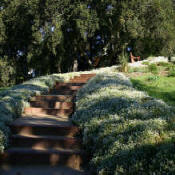 Luxurious Gardens and Walkways to grace your home by Hurtado's Landscaping 7072261779